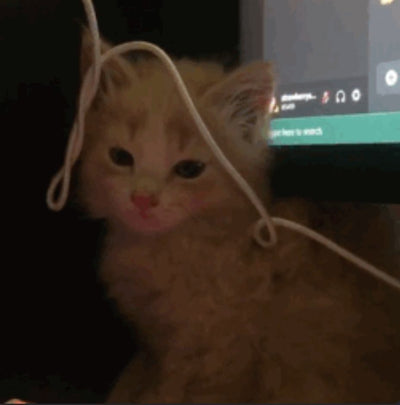 RobQT